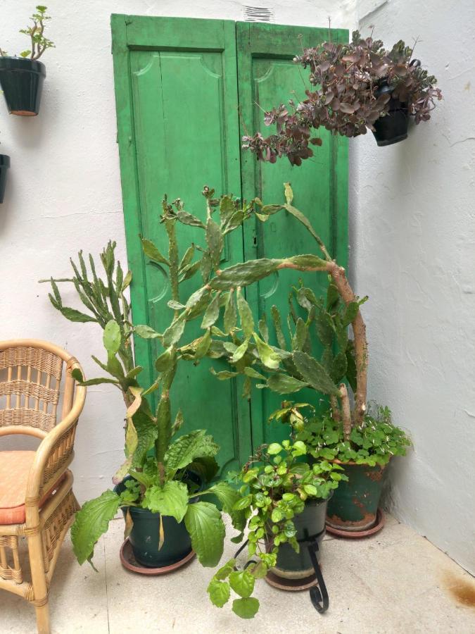 Hospederia Casa De Las Piedras Ξενοδοχείο Grazalema Εξωτερικό φωτογραφία